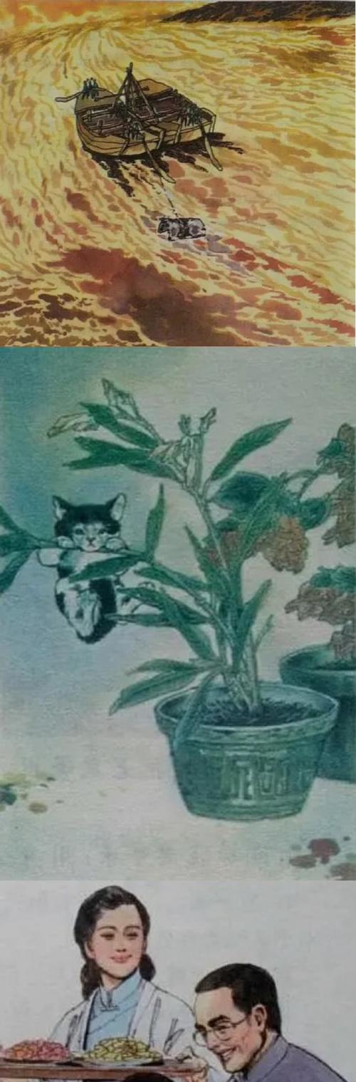 一个深刻的记忆：掌声与眼泪