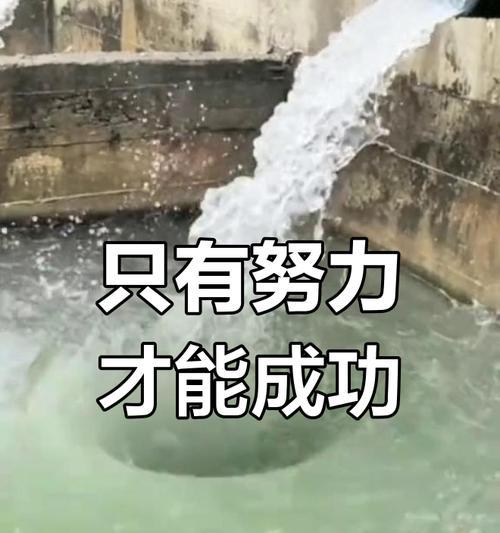 只有努力，才能成功（用汗水换来的收获）