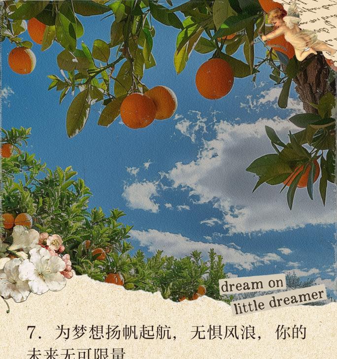 梦想起航：永不放弃的坚韧