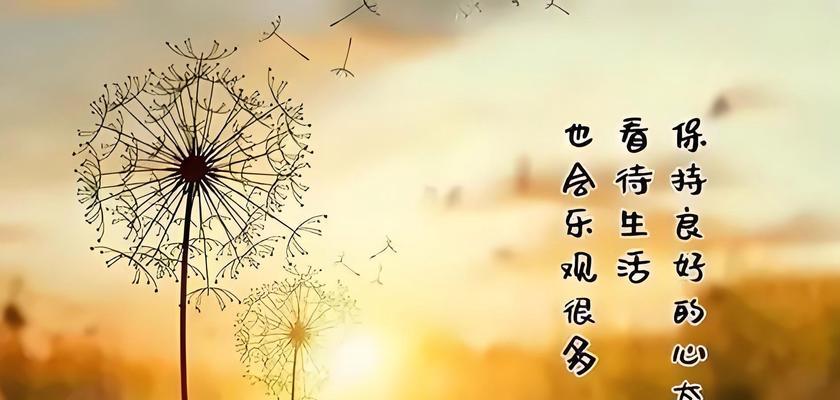 幸福的简单生活