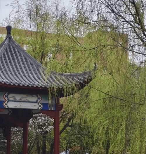 打造和谐大家庭（打造和谐大家庭）