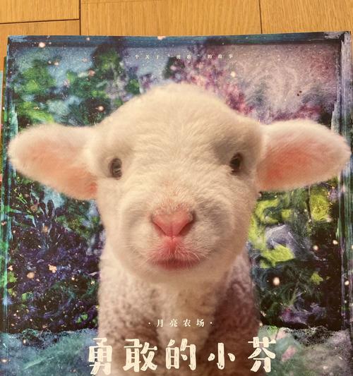 大胆尝试，勇往直前（只有勇敢者才能看到彩虹）