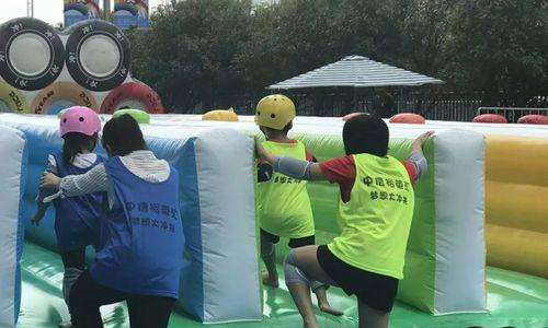 梦想的力量：一个孩子的奋斗历程