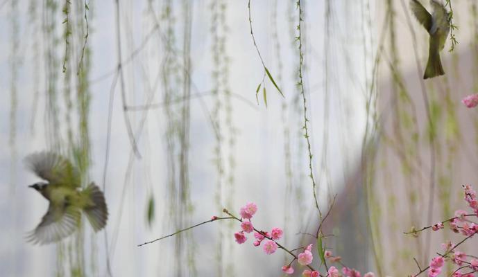 春之韵（青春的芬芳）