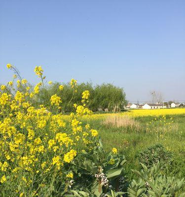 开启别样的生活（旅行，从未离你太远）