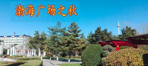 秋韵纷飞——一个秋日的邂逅（落叶飘飘，故事在风中轻轻舞动）