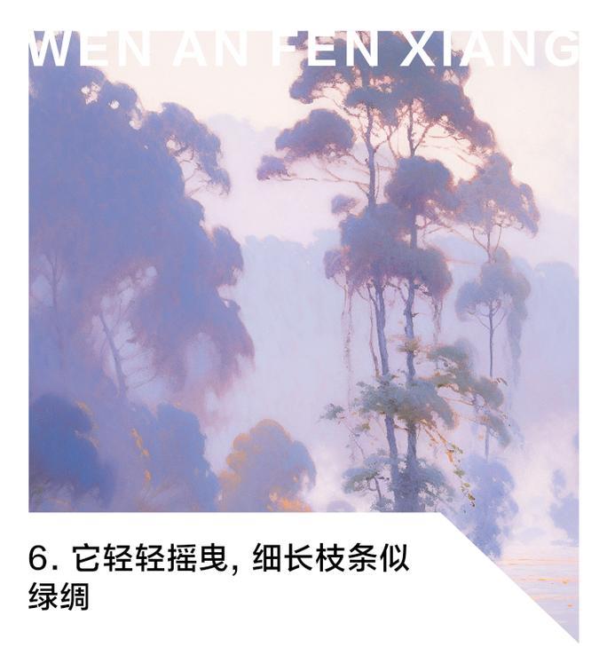 柳树的告白（城市男孩与农村姑娘的爱情故事）