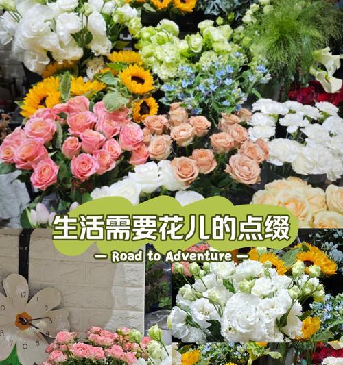 书香生活点缀：姐弟情深