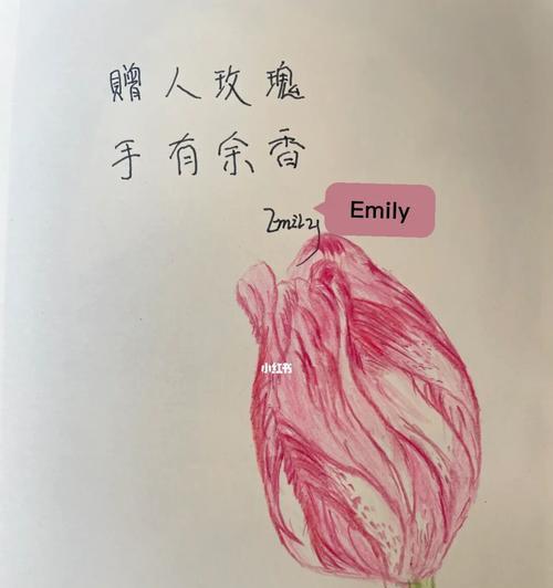 余香未散（以赠人玫瑰手留余香为主题的小故事）