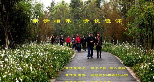 亲情永相伴（一个坚强的母亲与她的两个儿女）