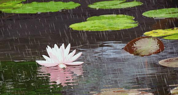 听雨心醉