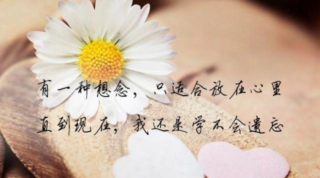 记忆里的温暖（一位母亲的爱）