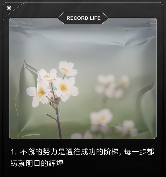 成功路上的每一步（坚持不懈，迎接未来）