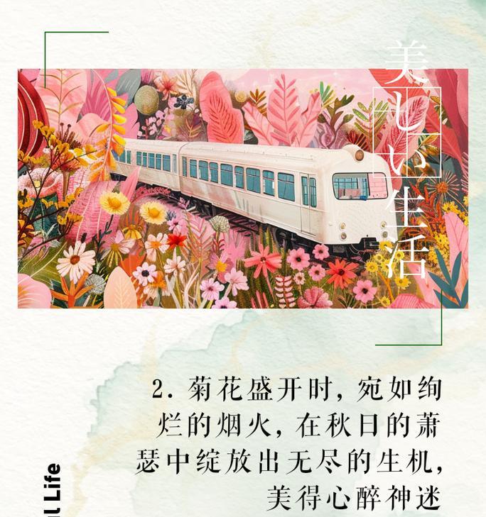 菊花香（一朵菊花的力量）