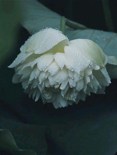 保留那份美好（——一段关于友谊的故事）