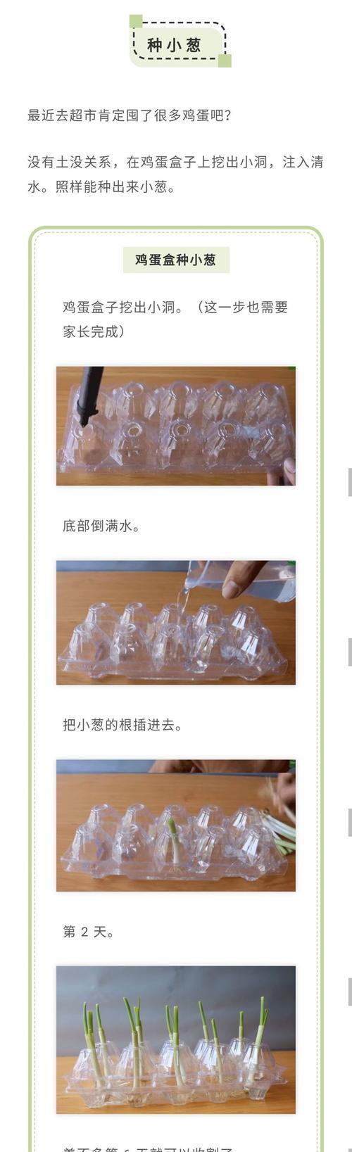 用心抱春天（追寻梦想的征程）