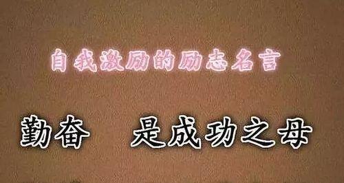 坚持不懈勤奋努力走向成功（少年经历挫折最终取得成功）