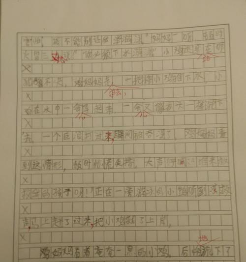 《狗狗的快乐时光》（一只聪明的边境牧羊犬和它的主人相伴度过的美好时光）