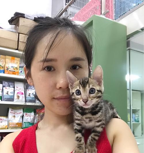 可爱伙伴的故事（陪伴我们的日子）