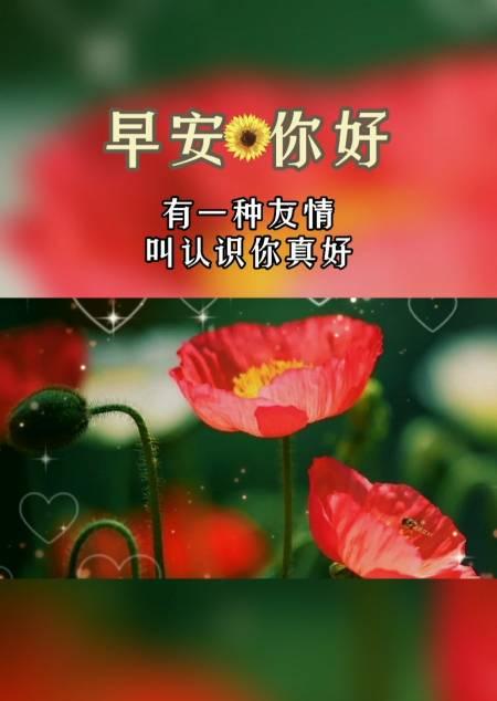 友情的陪伴真好
