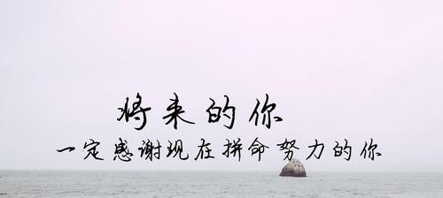 一个女孩的奋斗史（一个女孩的奋斗史）