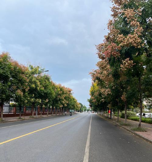 风景美不胜收（纵横漫步在美丽的风景线上）