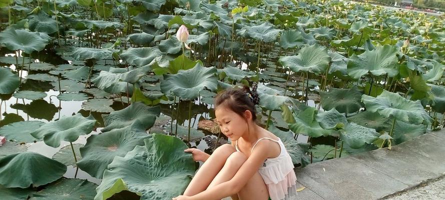 回忆暑假生活：寻找独一无二的美好