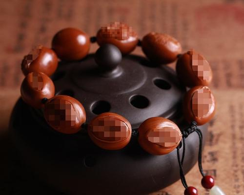 生命之源（从生命的诞生到成为母亲）