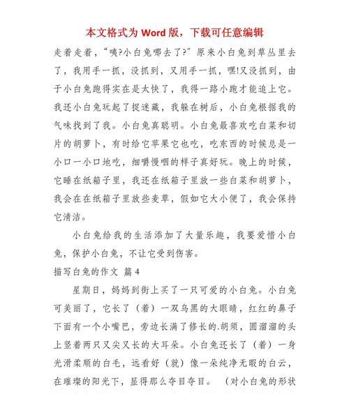 小白兔的故事（一只懵懂可爱的小生命）