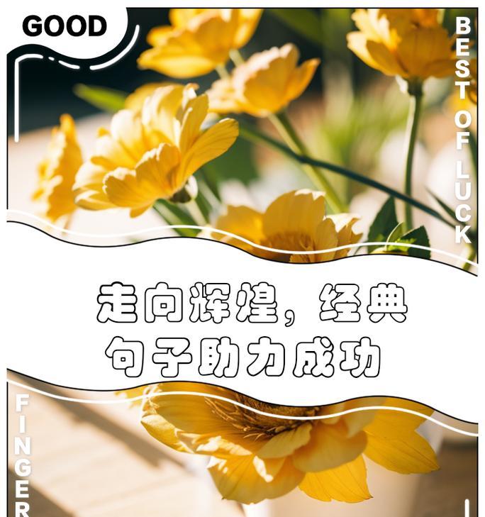 从小成长到大，打拼半生路（从小成长到大，打拼半生路）