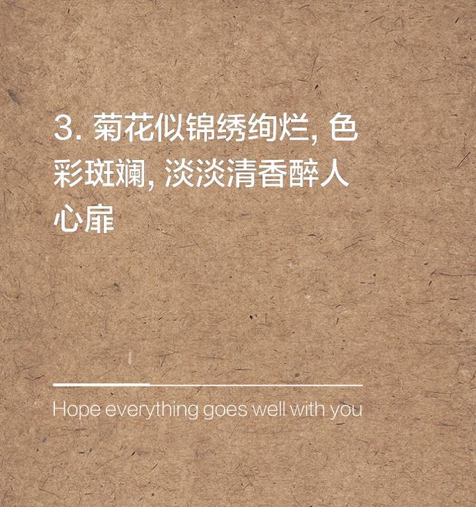 菊花的秘密——一个关于勇气和信任的故事（一个小男孩与他的小伙伴们一起发现了菊花的神奇之处）