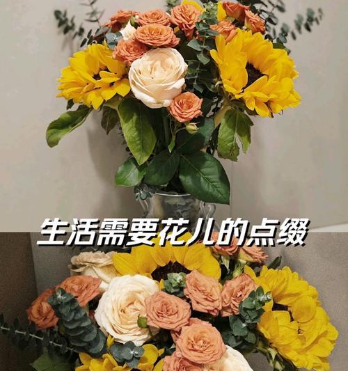 寻找生命的美好（寻找生命的美好）
