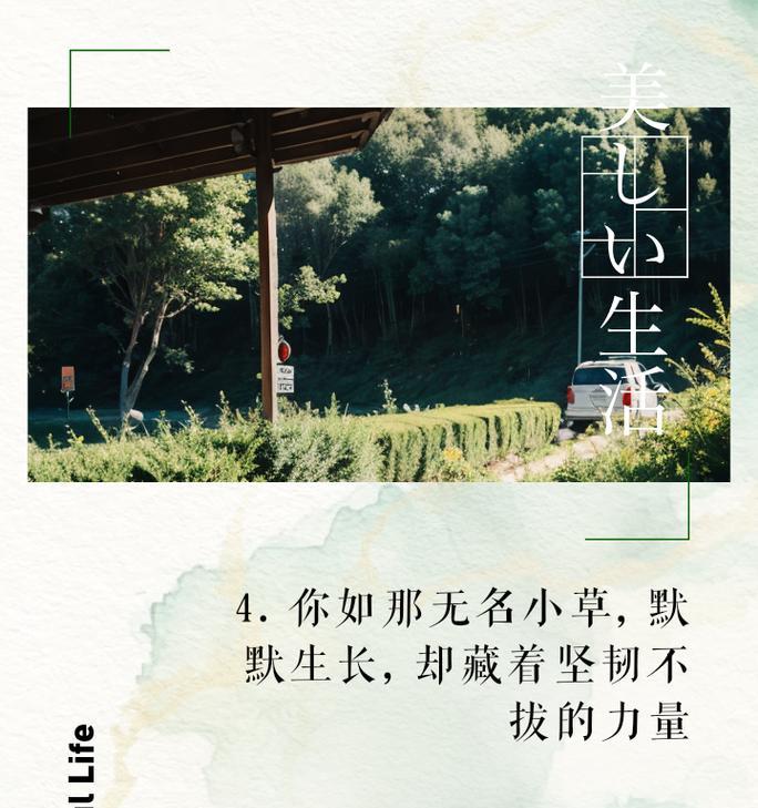 借物喻人——笨鸟先飞