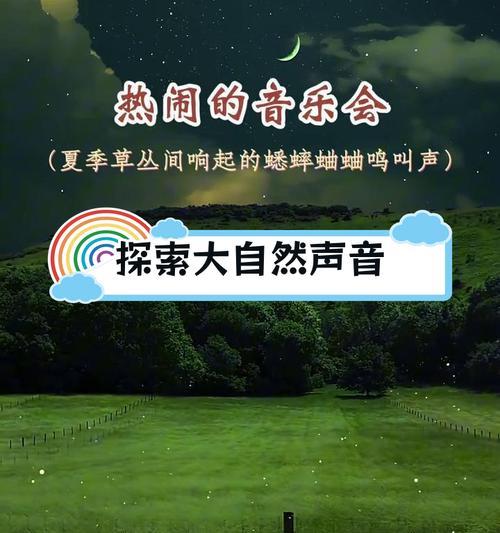 听风吟——探寻大自然的声音之美