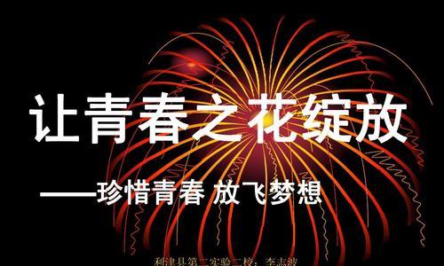 坚持不懈，梦想开花（一个人的奋斗史）