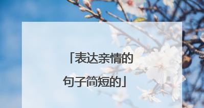 亲情永恒（父母的爱与关怀）