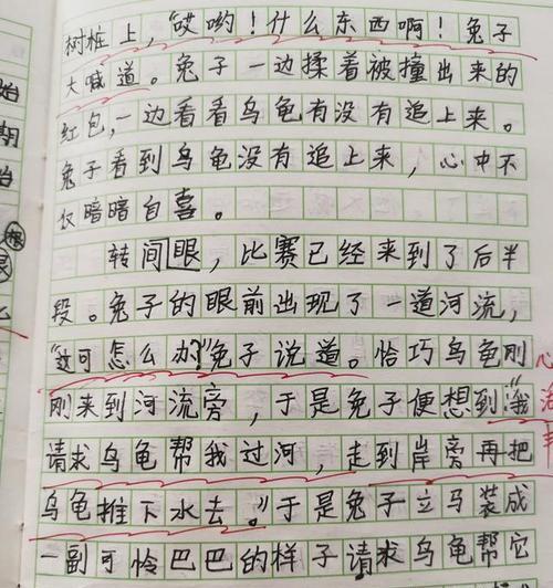 龟兔奇幻之旅（一场逃亡、一次转变、一次突围）