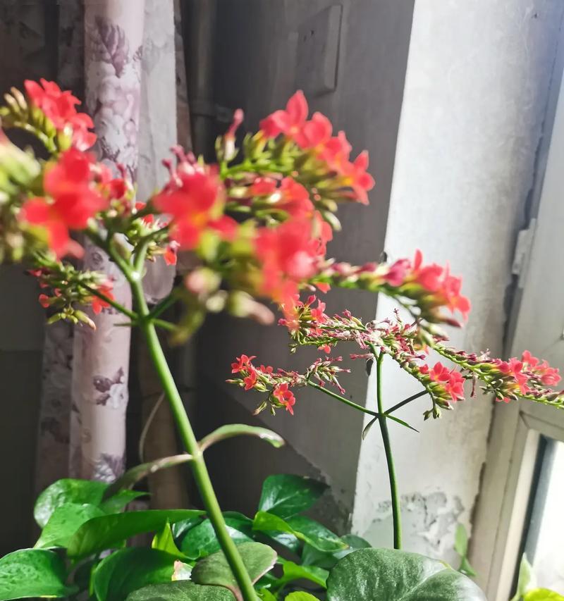 在微笑中相遇（一次意外的相遇，漫步在传递快乐的路上）