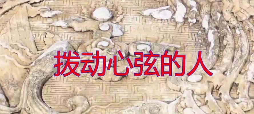 弦动人心（一首歌，一段故事）