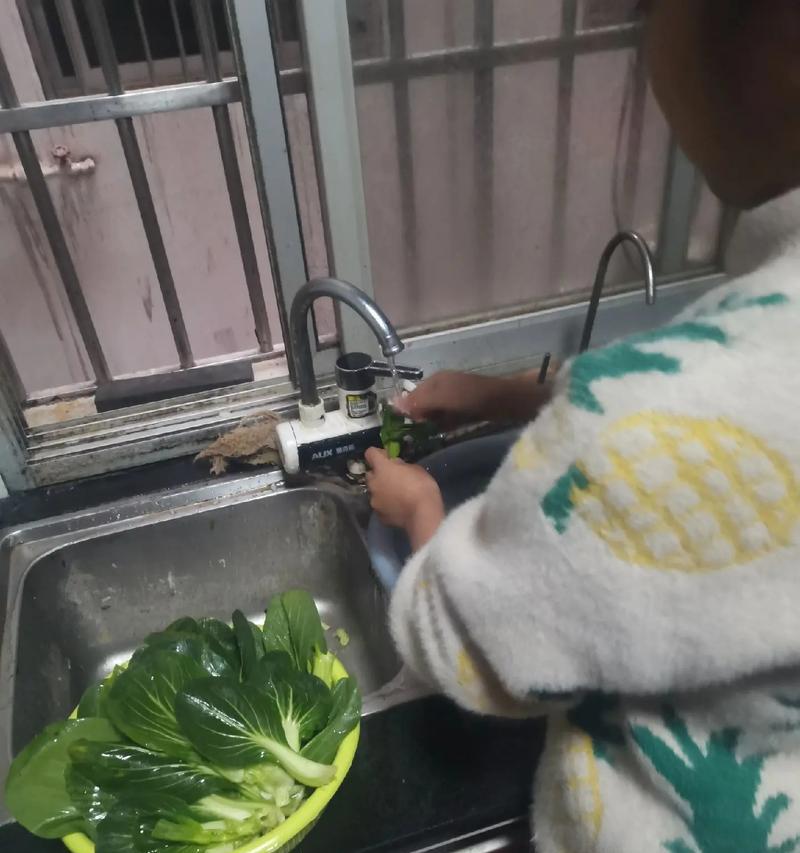 从零开始的烹饪之旅（从零开始的烹饪之旅）