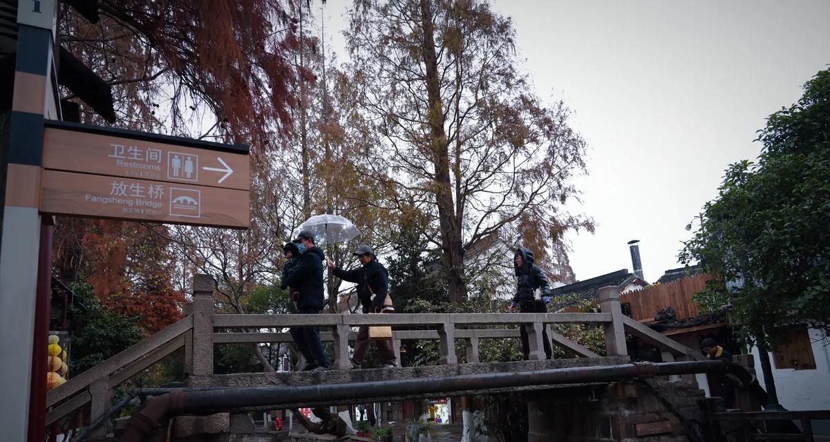 家乡的桥上（翠岩桥）