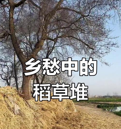 思念家乡的味道——寻找故乡的味道