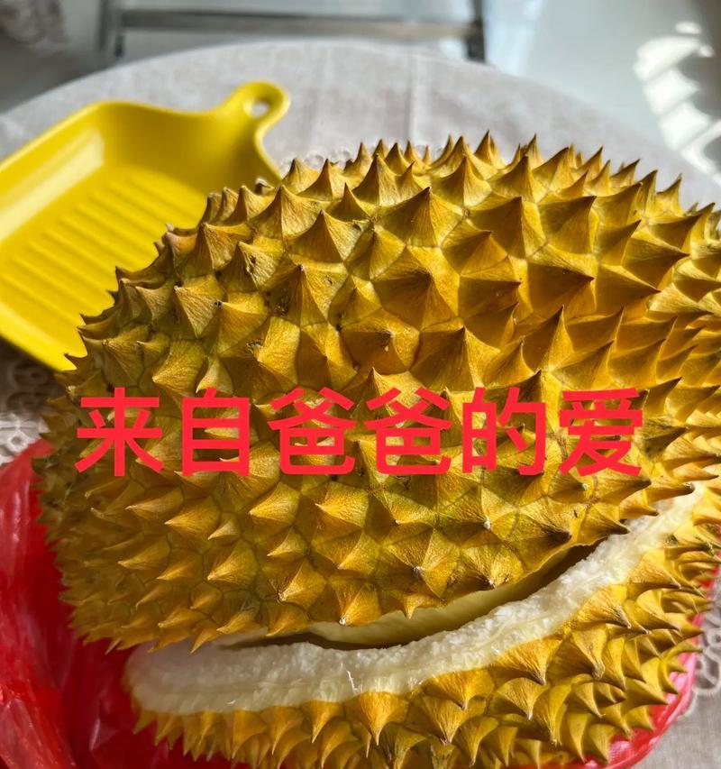 永恒的陪伴(永恒的陪伴)