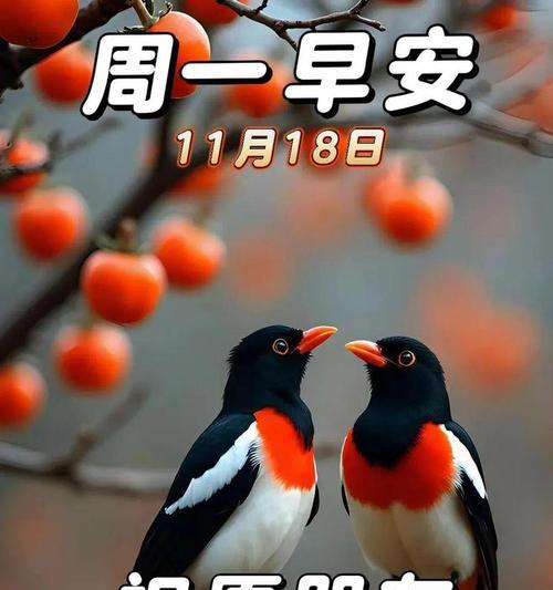 开心人生（怀揣快乐，拥抱幸福）