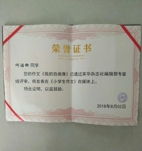 梦想之翼（一个孩子的翱翔之路）