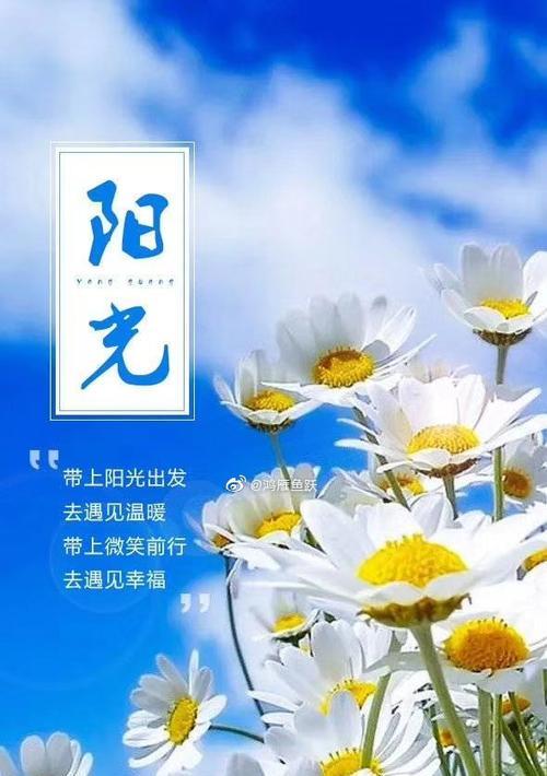 的语言流畅，情感真挚，文笔优美。