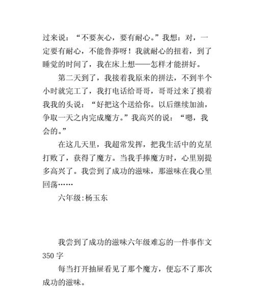 成功的滋味(一个普通人的奋斗史)