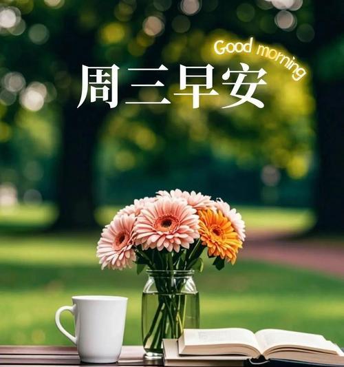 破茧成蝶(靠努力才有机会突破成功)