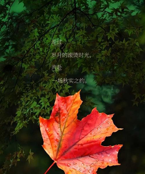 一颗感恩之心（感恩的力量）