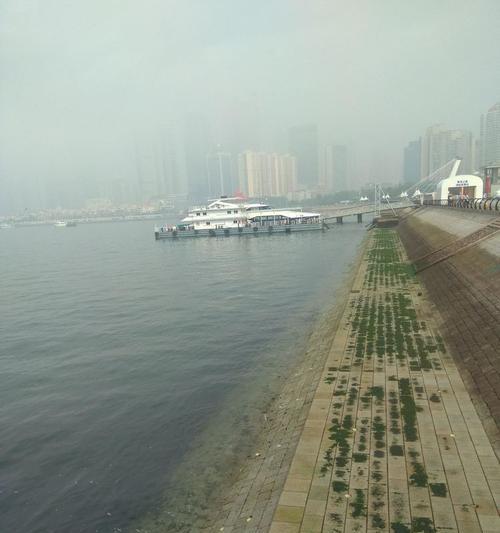 遇见浪花的奇遇（巨浪中的爱情故事）